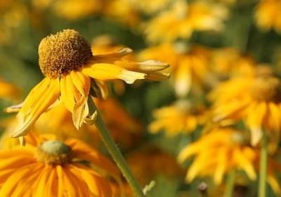 经典励志文章(合集80句) 经典励志文章(合集80句)