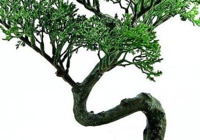 英文励志句子(100句) 英文励志句子(100句)