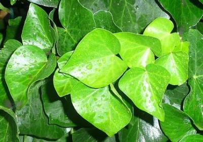 给学生的励志寄语(精选59句) 给学生的励志寄语(精选59句)