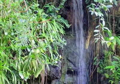 看励志书的软件(推荐30句) 看励志书的软件(推荐30句)