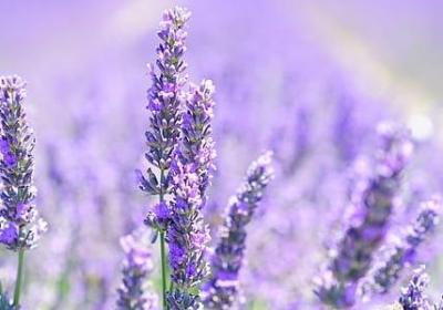 考前励志语(合集70句) 考前励志语(合集70句)