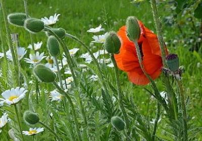 简单的励志歌曲(热门20句) 简单的励志歌曲(热门20句)