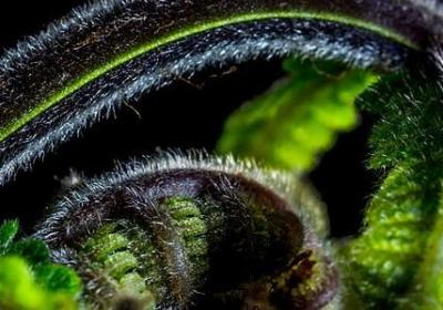 考试失败后的励志作文(合集8句) 考试失败后的励志作文(合集8句)