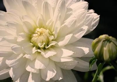 给儿子的一封信励志的(合集12句) 给儿子的一封信励志的(合集12句)