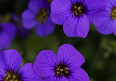 自我励志的经典语句(80句) 自我励志的经典语句(80句)