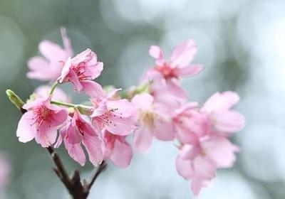 经历过风雨励志的句子(必备60句) 经历过风雨励志的句子(必备60句)