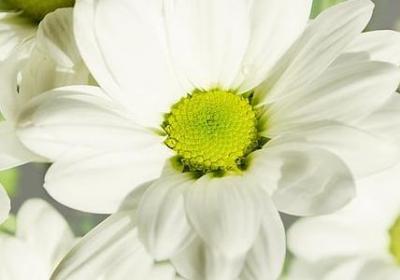 简短的健身励志短句(实用50句) 简短的健身励志短句(实用50句)