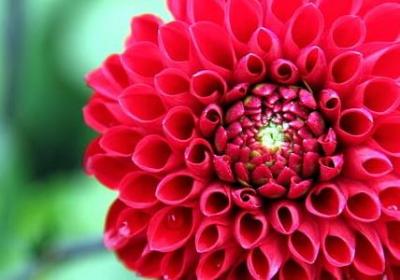 经历苦难的励志句子(合集40句) 经历苦难的励志句子(合集40句)