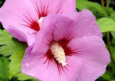 破茧重生的励志句子(共40句) 破茧重生的励志句子(共40句)