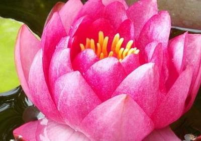 精致女人励志语录(精选78句) 精致女人励志语录(精选78句)