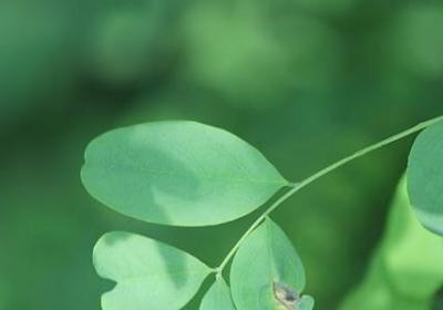 职场励志文章(共8句) 职场励志文章(共8句)