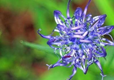 自我控制励志壁纸(优选39句) 自我控制励志壁纸(优选39句)