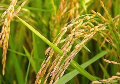 美国残疾人励志演讲(推荐70句) 美国残疾人励志演讲(推荐70句)