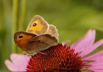 篮球励志作文(通用7句) 篮球励志作文(通用7句)