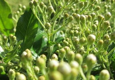 英文励志语录(实用20句) 英文励志语录(实用20句)