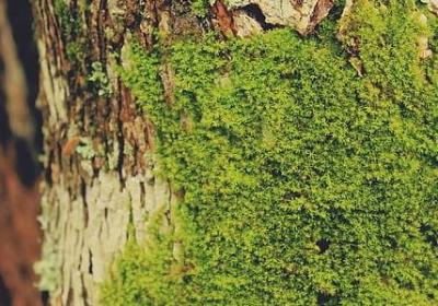 练琴励志的句子(热门51句) 练琴励志的句子(热门51句)