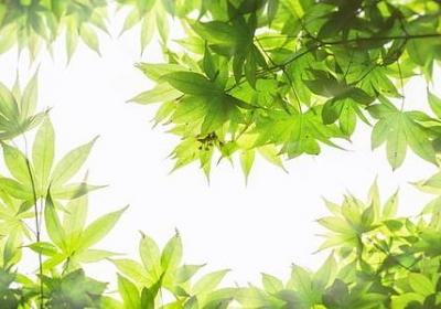 经典励志(必备70句) 经典励志(必备70句)