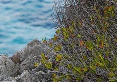 粤语励志歌曲(通用39句) 粤语励志歌曲(通用39句)