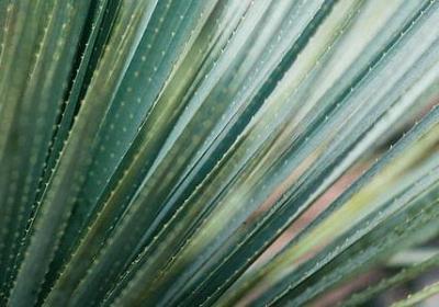 简单励志网名(汇总60句) 简单励志网名(汇总60句)