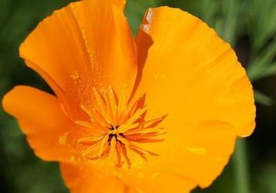 红色励志宣言(必备40句) 红色励志宣言(必备40句)