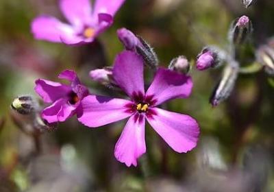 经典励志语录大全(优选50句) 经典励志语录大全(优选50句)