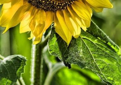 经典励志诗词名句大全(合集44句) 经典励志诗词名句大全(合集44句)