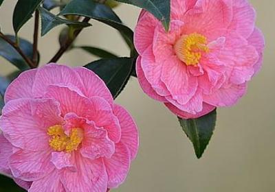 离婚后励志的句子(实用60句) 离婚后励志的句子(实用60句)