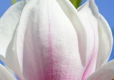 研究生有没有国家励志奖学金(推荐40句) 研究生有没有国家励志奖学金(推荐40句)