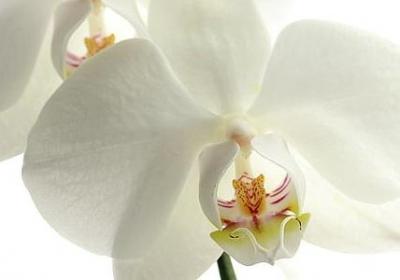 老师对学生说的励志的话(热门60句) 老师对学生说的励志的话(热门60句)