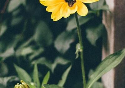 背景图文字励志(热门80句) 背景图文字励志(热门80句)