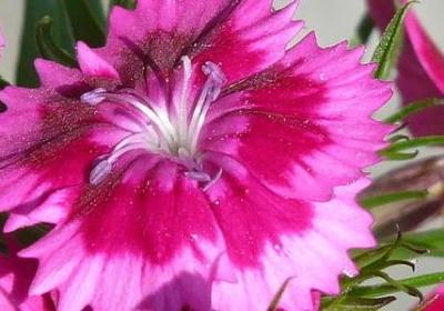 羊皮卷经典励志段落(汇总60句) 羊皮卷经典励志段落(汇总60句)