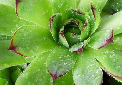 职场励志小说(精选50句) 职场励志小说(精选50句)