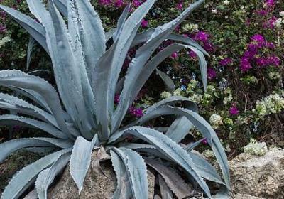 美国励志电影 橄榄球(40句) 美国励志电影 橄榄球(40句)