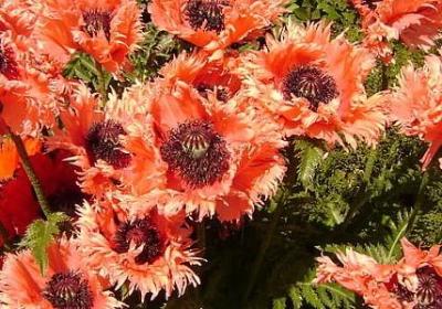 突破自己的励志语(共69句) 突破自己的励志语(共69句)