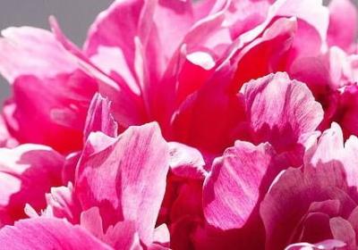 自带阳光的励志句子(热门50句) 自带阳光的励志句子(热门50句)