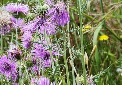 给女儿励志的话(汇总50句) 给女儿励志的话(汇总50句)