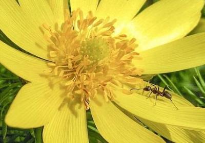 英文励志演讲稿(10句) 英文励志演讲稿(10句)