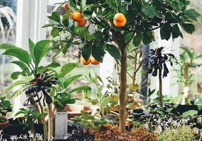 自律的励志话(合集60句) 自律的励志话(合集60句)