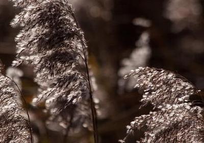 英文励志名言短句(合集98句) 英文励志名言短句(合集98句)