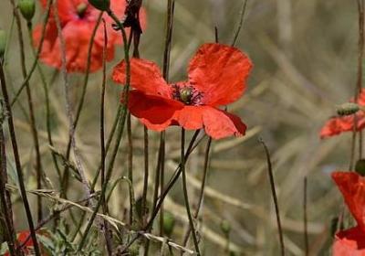 美句励志(合集60句) 美句励志(合集60句)