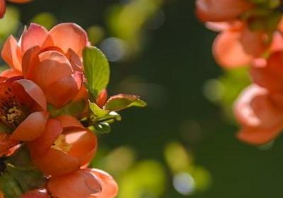 瘦身励志图片(必备60句) 瘦身励志图片(必备60句)