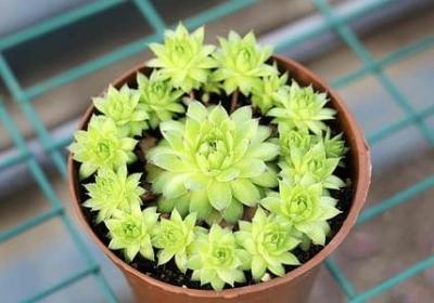 自己强大的励志语录(必备60句) 自己强大的励志语录(必备60句)