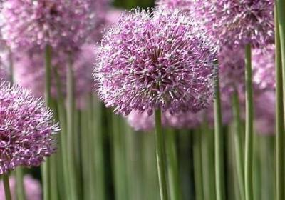 致青春的句子励志句子(推荐50句) 致青春的句子励志句子(推荐50句)