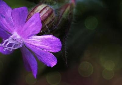 考研励志语句(热门60句) 考研励志语句(热门60句)