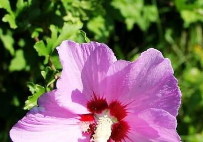 考研励志故事(10句) 考研励志故事(10句)