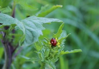 目标达成的励志语录(优选40句) 目标达成的励志语录(优选40句)