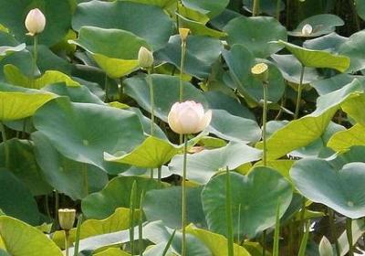 英文个性签名励志(精选50句) 英文个性签名励志(精选50句)