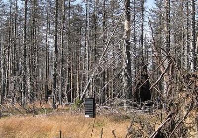 签名励志(必备90句) 签名励志(必备90句)