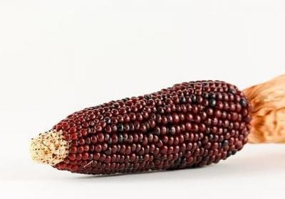 白敬亭励志语录(实用20句) 白敬亭励志语录(实用20句)