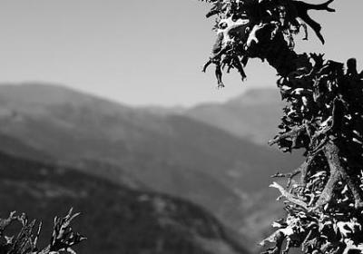 职场励志电影(实用47句) 职场励志电影(实用47句)